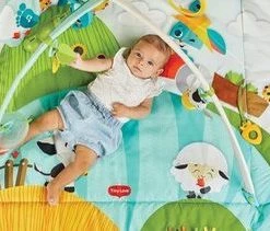 Tiny Love Babygym Kick & Play - Tiny Farm 39 Tiny Love Babygym Kick & Play - Tiny Farm -babygyms Winkel 550x211 1