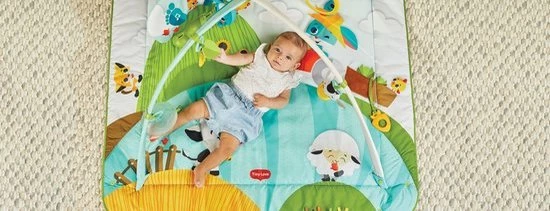 Tiny Love Babygym Kick & Play - Tiny Farm 18 Tiny Love Babygym Kick & Play - Tiny Farm - Afbeelding 18