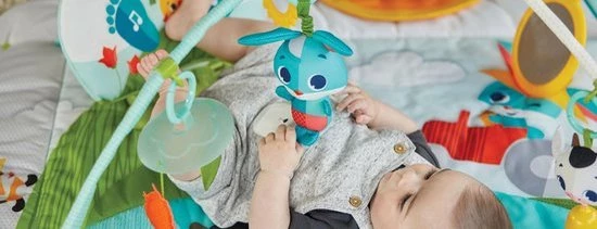 Tiny Love Babygym Kick & Play - Tiny Farm 19 Tiny Love Babygym Kick & Play - Tiny Farm - Afbeelding 19