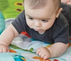 Tiny Love Babygym Kick & Play - Tiny Farm 43 Tiny Love Babygym Kick & Play - Tiny Farm -babygyms Winkel 550x211 5