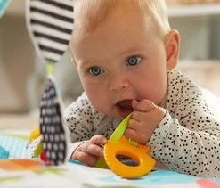 Tiny Love Babygym Sunny Day - Meadow Days -babygyms Winkel 550x211 6