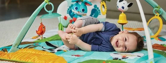 Tiny Love Babygym Kick & Play - Tiny Farm 17 Tiny Love Babygym Kick & Play - Tiny Farm - Afbeelding 17