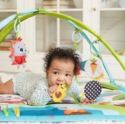 Tiny Love Babygym Sunny Day - Meadow Days -babygyms Winkel 550x245 1