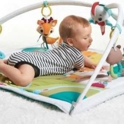 Tiny Love Deluxe Babygym - Into The Forest - In Het Bos -babygyms Winkel 550x282