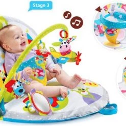 Yookidoo Baby Speelkleed Babysitter Gymotion Lay To Sit-Up Play Met Bogen 23 Yookidoo Baby Speelkleed Babysitter Gymotion Lay To Sit-Up Play Met Bogen -babygyms Winkel 550x301
