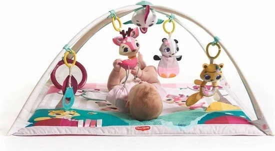 Tiny Love Deluxe Babygym - Princess Tales - Roze 32 Tiny Love Deluxe Babygym - Princess Tales - Roze - Afbeelding 32