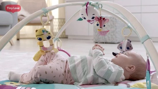 Tiny Love Deluxe Babygym - Princess Tales - Roze 2 Tiny Love Deluxe Babygym - Princess Tales - Roze - Afbeelding 2