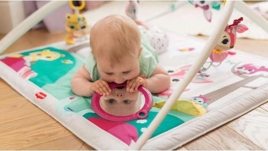 Tiny Love Deluxe Babygym - Princess Tales - Roze 30 Tiny Love Deluxe Babygym - Princess Tales - Roze - Afbeelding 30