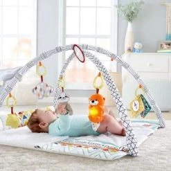 Fisher-Price Baby Gym - Speelmat Met 21 Zintuigelijke Ontdekkingsspeeltjes -babygyms Winkel 550x323