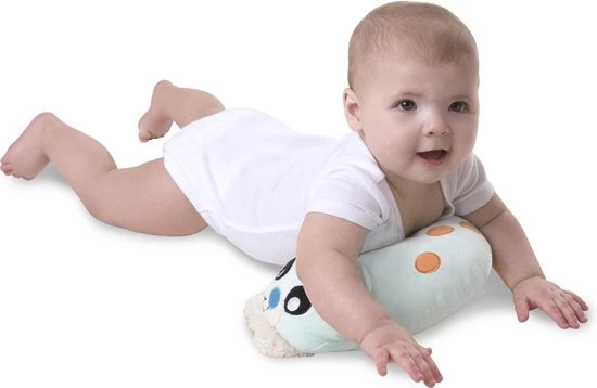 Playgro Snuggle Me Penguin Tummy Time Gym - Babygym Met Buikligkussen - Speelkleed - Speeltapijt 20 Playgro Snuggle Me Penguin Tummy Time Gym - Babygym Met Buikligkussen - Speelkleed - Speeltapijt - Afbeelding 20
