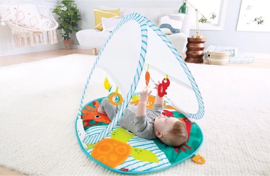 Fisher-Price Fisher Price Draagbare Gym 2 Fisher-Price Fisher Price Draagbare Gym - Afbeelding 2