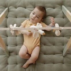 Little Dutch Babygym 15 Little Dutch Babygym -babygyms Winkel 550x366 5