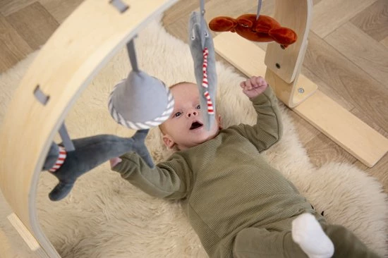 Tryco Houten Babygym TR-303011 9 Tryco Houten Babygym TR-303011 - Afbeelding 9