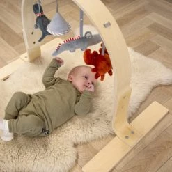 Tryco Houten Babygym TR-303011 20 Tryco Houten Babygym TR-303011 -babygyms Winkel 550x366 53