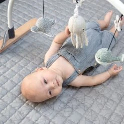 Flow Amsterdam - Baby Gym Ocean - Belletje - Trilknuffel - Melodietje -babygyms Winkel 550x366 62