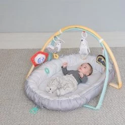 Taf Toys Babynestje En Babygym In 2 In 1 Met Afneembare Bogen En Speeltjes - Met Licht En Afneembaar Muziekdoosje -babygyms Winkel 550x367 5