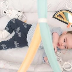 Taf Toys Babynestje En Babygym In 2 In 1 Met Afneembare Bogen En Speeltjes - Met Licht En Afneembaar Muziekdoosje -babygyms Winkel 550x367 6