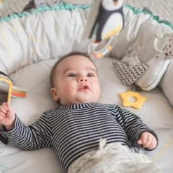 Taf Toys Babynestje En Babygym In 2 In 1 Met Afneembare Bogen En Speeltjes - Met Licht En Afneembaar Muziekdoosje -babygyms Winkel 550x367 7