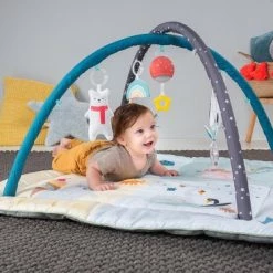 Taf Toys Baby-gym North Pole 4 Season Junior 100 X 100 X 50 Cm -babygyms Winkel 550x367 9