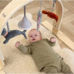 Tryco Houten Babygym TR-303011 14 Tryco Houten Babygym TR-303011 -babygyms Winkel 550x368 3