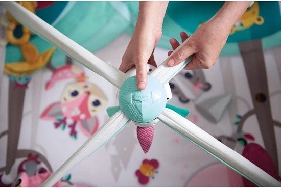 Tiny Love Deluxe Babygym - Princess Tales - Roze 3 Tiny Love Deluxe Babygym - Princess Tales - Roze - Afbeelding 3