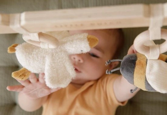 Little Dutch Babygym 4 Little Dutch Babygym - Afbeelding 4