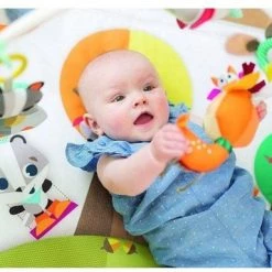 Tiny Love Deluxe Babygym - Into The Forest - In Het Bos -babygyms Winkel 550x384