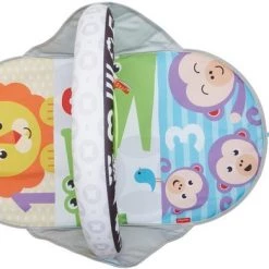 Fisher-Price 2-in-1 Activity Gym -babygyms Winkel 550x390