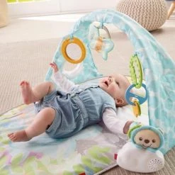 Fisher-Price Vlinderdromen Gym -babygyms Winkel 550x400 5