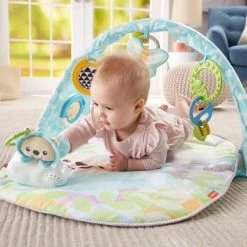 Fisher-Price Vlinderdromen Gym -babygyms Winkel 550x426 1