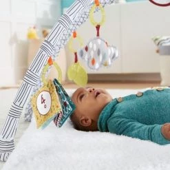 Fisher-Price Baby Gym - Speelmat Met 21 Zintuigelijke Ontdekkingsspeeltjes -babygyms Winkel 550x443