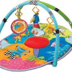 Taf Toys Taftoys Zachte Speelmat /Gym Met Afneembare Bogen - Safari Gym