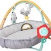 Taf Toys Babynestje En Babygym In 2 In 1 Met Afneembare Bogen En Speeltjes - Met Licht En Afneembaar Muziekdoosje