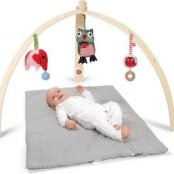 FRANCK & FISCHER - BabySpyder - Babygym - Hout -babygyms Winkel 550x481 2