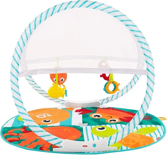 Fisher-Price Fisher Price Draagbare Gym 3 Fisher-Price Fisher Price Draagbare Gym - Afbeelding 3