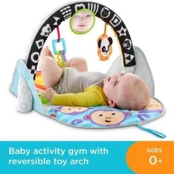 Fisher-Price 2-in-1 Activity Gym 35 Fisher-Price 2-in-1 Activity Gym -babygyms Winkel 550x517 9