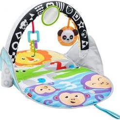 Fisher-Price 2-in-1 Activity Gym