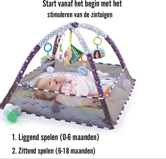 Easy Life Babygym - Speelkleed - Speeltapijt - Baby Speelgoed - Grijs 4 Easy Life Babygym - Speelkleed - Speeltapijt - Baby Speelgoed - Grijs - Afbeelding 4