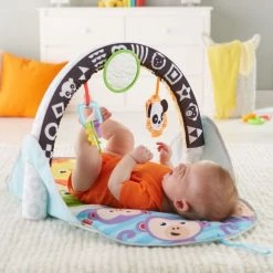 Fisher-Price 2-in-1 Activity Gym -babygyms Winkel 550x539
