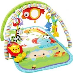 Fisher-Price Fisher Price 3-in-1 Muzikale Activiteiten Gym