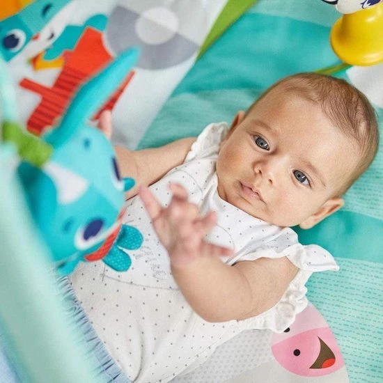 Tiny Love Babygym Kick & Play - Tiny Farm 10 Tiny Love Babygym Kick & Play - Tiny Farm - Afbeelding 10