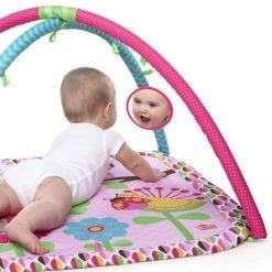 Bright Starts Pink Charming Chirps Activity Gym -babygyms Winkel 550x550 131