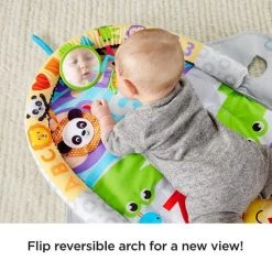 Fisher-Price 2-in-1 Activity Gym -babygyms Winkel 550x550 16