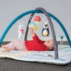 Taf Toys Baby-gym North Pole 4 Season Junior 100 X 100 X 50 Cm -babygyms Winkel 550x550 303
