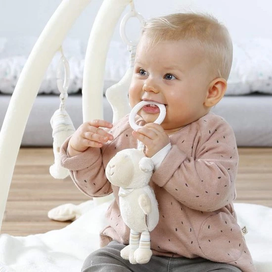 Babygym, Baby Cadeau - Jongen & Meisje, Dierenvriendjes Speelmat, Interactief Speelgoed - Multikleuren. 2 Babygym, Baby Cadeau - Jongen & Meisje, Dierenvriendjes Speelmat, Interactief Speelgoed - Multikleuren. - Afbeelding 2
