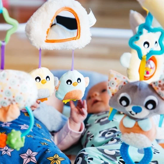 Playgro Snuggle Me Penguin Tummy Time Gym - Babygym Met Buikligkussen - Speelkleed - Speeltapijt 14 Playgro Snuggle Me Penguin Tummy Time Gym - Babygym Met Buikligkussen - Speelkleed - Speeltapijt - Afbeelding 14