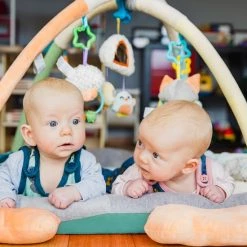 Playgro Snuggle Me Penguin Tummy Time Gym - Babygym Met Buikligkussen - Speelkleed - Speeltapijt 39 Playgro Snuggle Me Penguin Tummy Time Gym - Babygym Met Buikligkussen - Speelkleed - Speeltapijt -babygyms Winkel 550x550 47