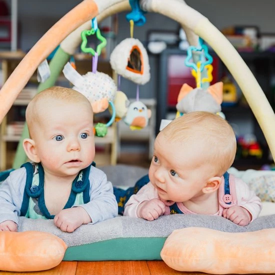 Playgro Snuggle Me Penguin Tummy Time Gym - Babygym Met Buikligkussen - Speelkleed - Speeltapijt 17 Playgro Snuggle Me Penguin Tummy Time Gym - Babygym Met Buikligkussen - Speelkleed - Speeltapijt - Afbeelding 17