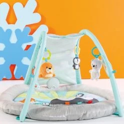 Bright Starts Arctic Glow Light Show Playmat 15 Bright Starts Arctic Glow Light Show Playmat -babygyms Winkel 550x550 483