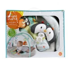Bright Starts Arctic Glow Light Show Playmat 24 Bright Starts Arctic Glow Light Show Playmat -babygyms Winkel 550x550 488